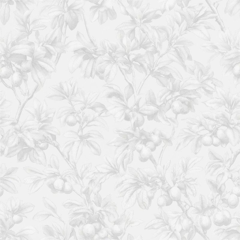 Afbeeldingen van Esaias Grey - 1105101-05